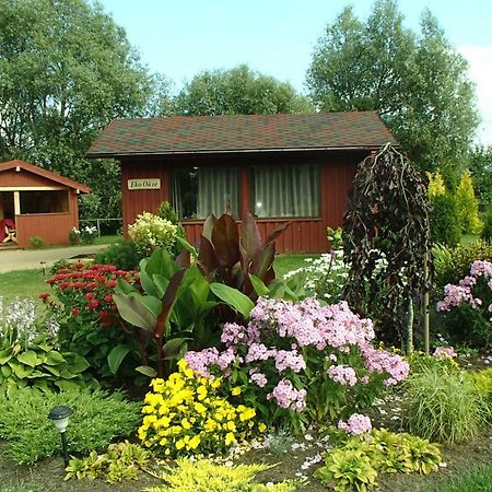 Villa Eko Oaze Pērkone Exterior foto