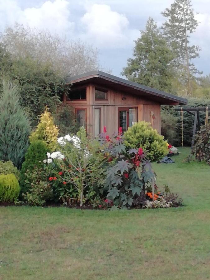 Villa Eko Oaze Pērkone Exterior foto