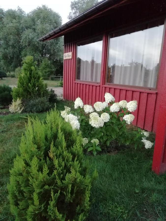 Villa Eko Oaze Pērkone Exterior foto