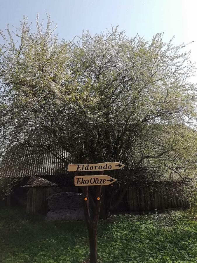 Villa Eko Oaze Pērkone Exterior foto